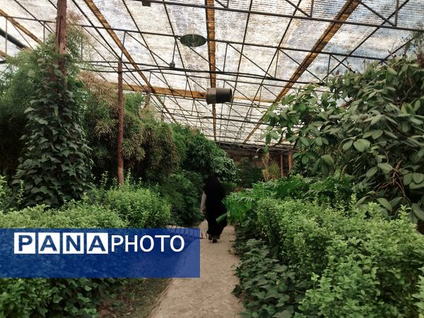 اردوی علمی تفریحی خبرنگاران پانای استان اصفهان