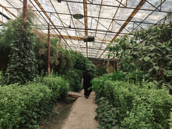 اردوی علمی تفریحی خبرنگاران پانای استان اصفهان