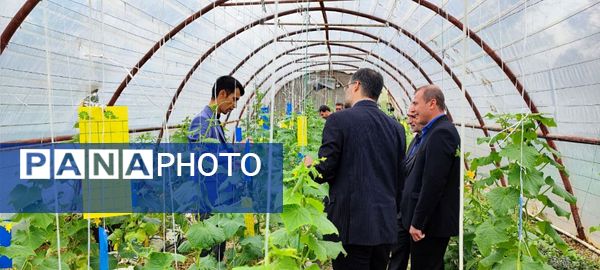 بازدید مدیر کل دفتر فنی و حرفه‌ای و کار دانش وزارت آموزش و پرورش از شهرستان سملقان