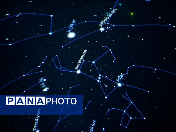 بازدید دانش‌آموزان مدرسه شهدای غزه (1) قم از نمایشگاه تاکسیدرمی کانون پردیسان