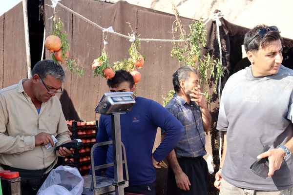 کوهدشت میزبان جشن سرخ زاگرس 