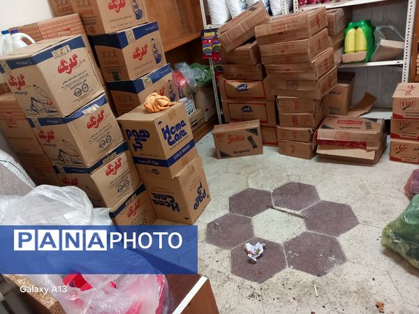 اجرای پروژه مهر در هنرستان ثمین 