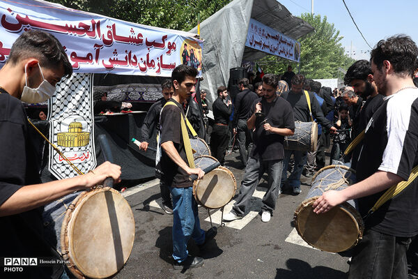 پیاده‌روی جاماندگان اربعین در تهران - 4