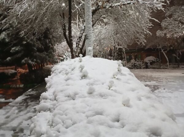 بارش برف در شهر زیبای مشهد 