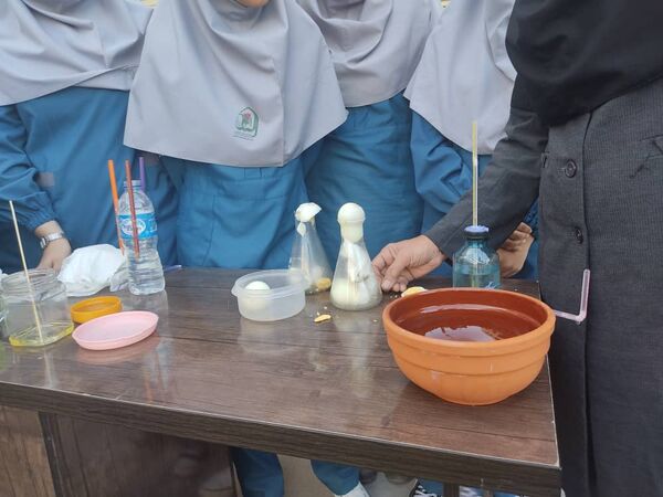 جشن دانش شهرستان میناب در روز آزمایشگاه 
