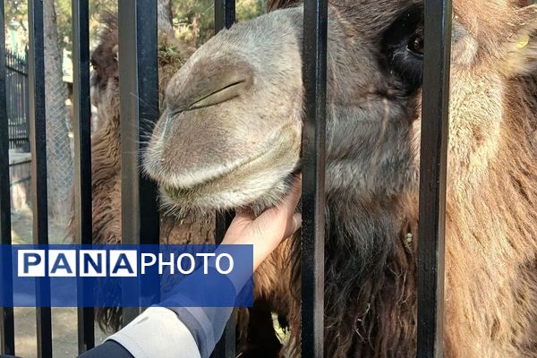 اردوی تفریحی مدرسه حدیث کساء از ناحیه یک شهرری