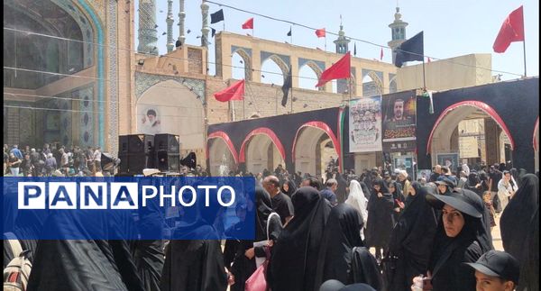 دل‌های جامانده، گرد حرم سلطان علی(ع) در مشهد اردهال به شور افتادند