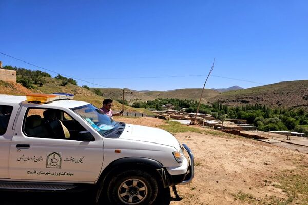 شیوع بیماری زنگ زرد در مزارع گندم و جو در روستاهای دهستان سنگر شهرستان فاروج