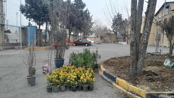 دختران ورزشکار ملاردی با کاشت نهال، آینده‌ای سبزتر برای زمین رقم می‌زنند