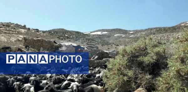  سرزمین عشق در دل سختی‌ها