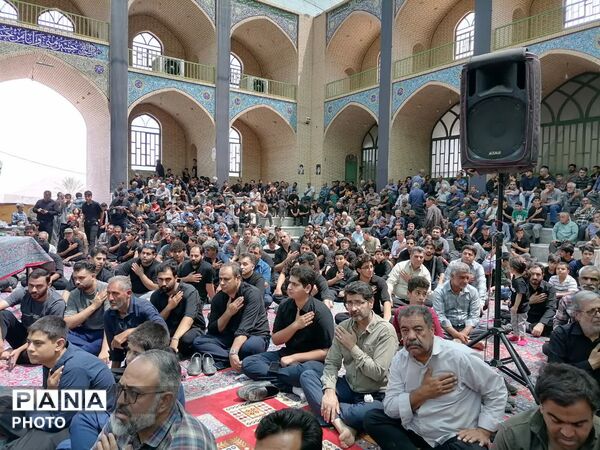 میدان توت اردکان، میزبان عزاداران امام حسن مجتبی(ع) از سراسر یزد