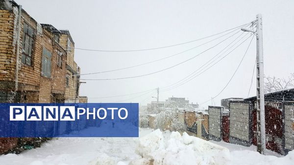 بارش سنگین برف در بن؛ رکورد تازه زمستان