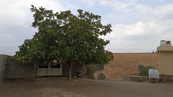 اولین بارش تابستانه در روستای کینک