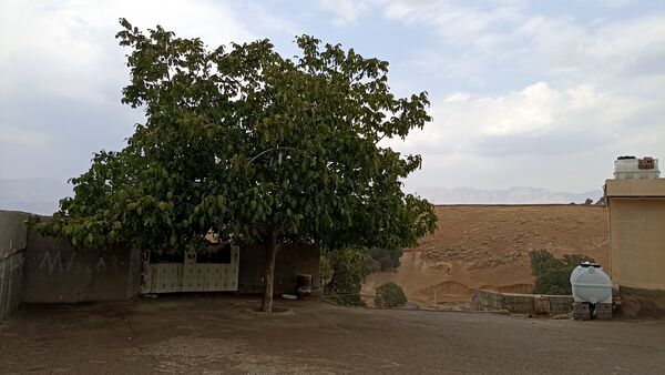 اولین بارش تابستانه در روستای کینک
