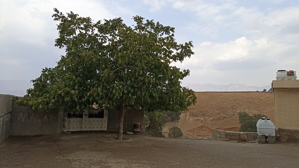 اولین بارش تابستانه در روستای کینک