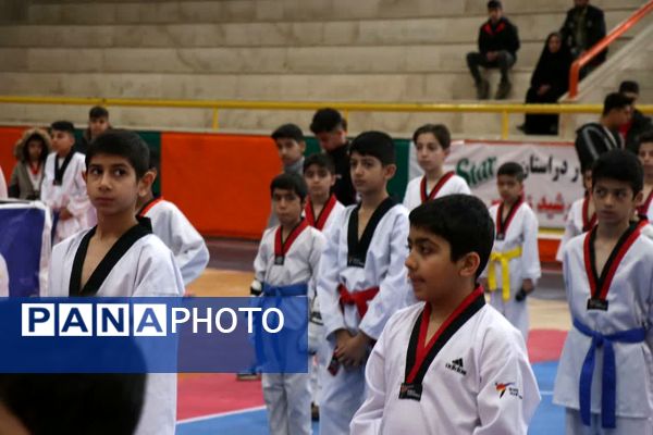 مسابقات تکواندو خردسالان پسران 