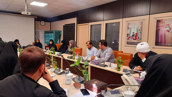 برگزاری دومین نشست کارگروه دختران نوجوان و جوان در استانداری البرز 