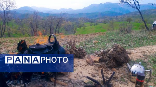 طبیعت بهاری، فرصتی برای سرزندگی روح 