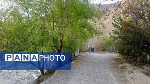 فصل بهار، فرصتی برای سر زندگی روح