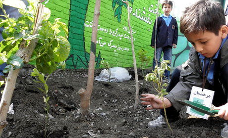 دانش‌آموزان حامیان اصلی محیط‌زیست هستند 