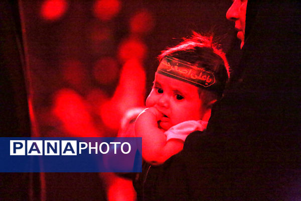 همایش شیرخوارگان حسینی در قم -1