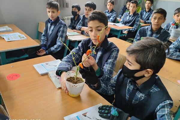 گرامیداشت روز درختکاری در دبستان امام حسن مجتبی(ع) رودهن 