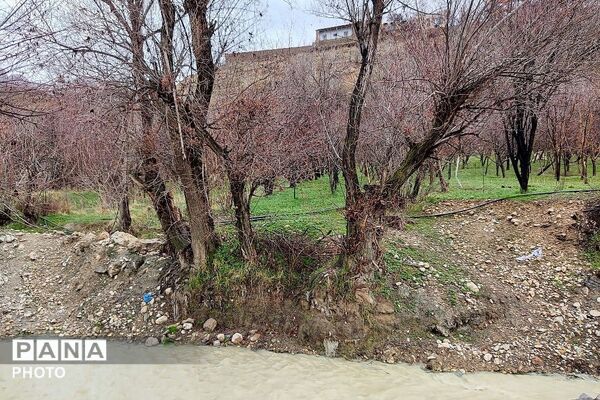  بارش باران در شهر بار 