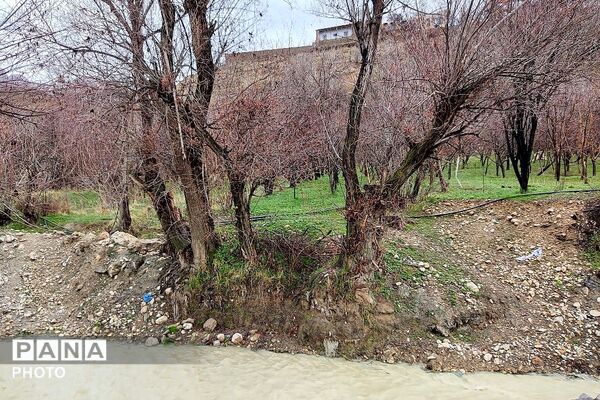  بارش باران در شهر بار 