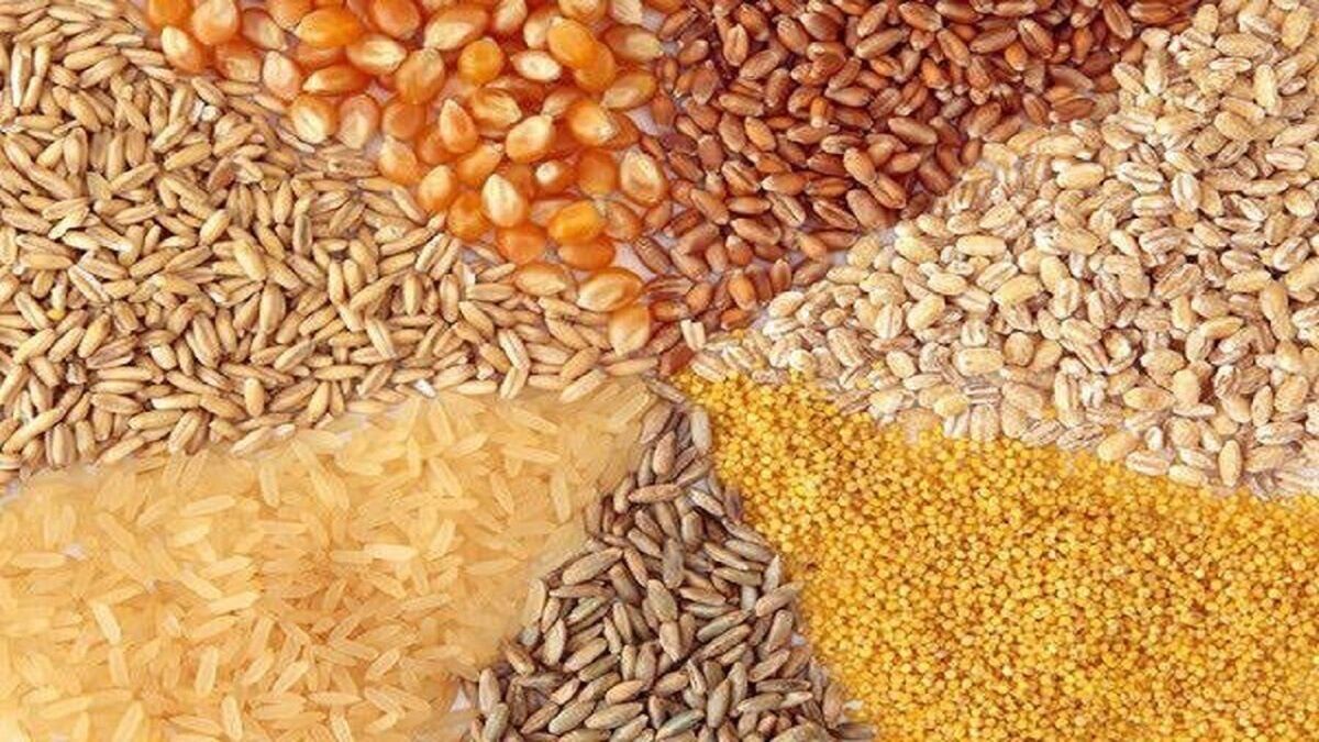 ابلاغ دستورالعمل تأمین ارز واردات نهاده‌های دامی در ازای پذیرش اوراق گام