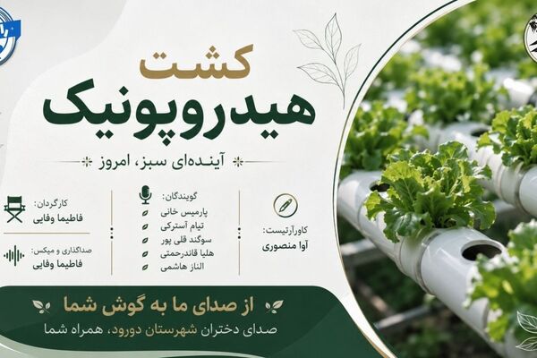 کشاورزی بدون خاک؛ آینده‌ای سبز با آب کمتر