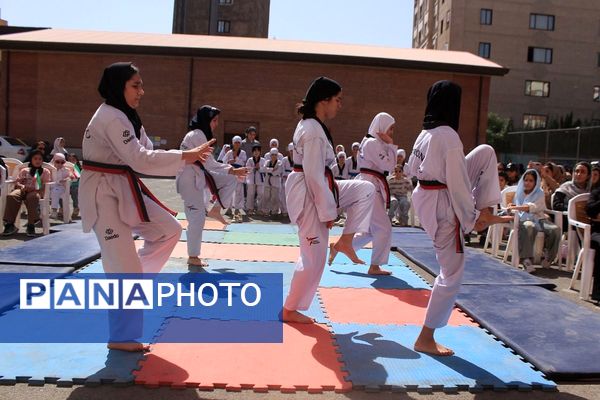 کلید خوردن طرح ملی «میدان پویا» در بهارستان‌دو