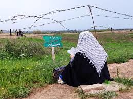 دانش آموزان ملایری در تنگه مرصاد