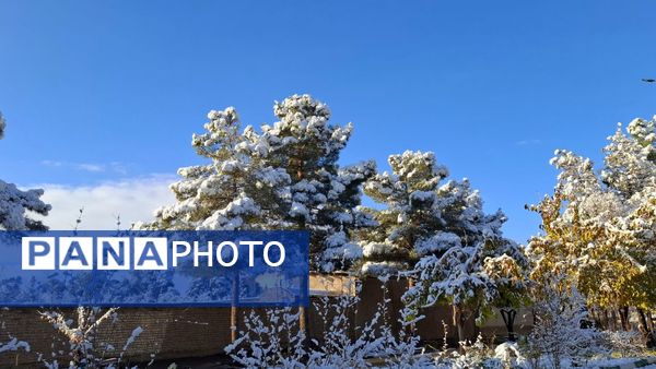 رنگ و بوی زمستان در شهر کهک