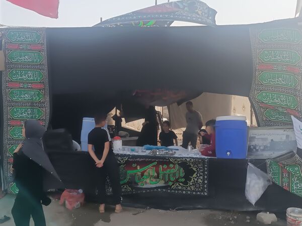 گام هایی از جنس عشق به امام رضا (ع)
