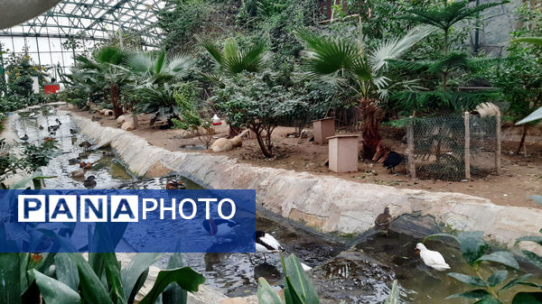 باغ پرندگان قم: جاذبه‌ای بی‌نظیر در قلب کشور