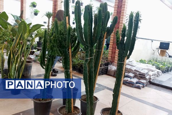 نمایشگاه گل و گیاه در نمایشگاه دائمی قرچک
