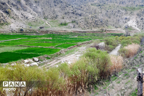 طبیعت روستای بیدله به هنگام بهار