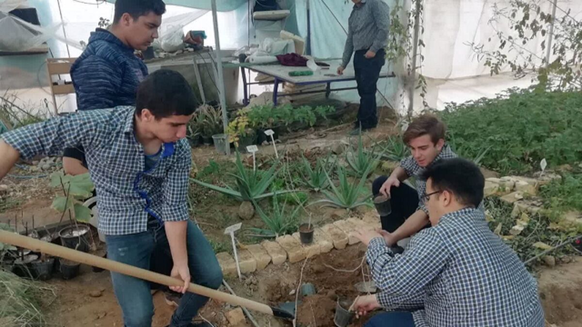 رئیس فراکسیون کشاورزی مجلس: حمایت از هنرستان‌های کشاورزی، سرمایه‌گذاری برای آینده امنیت غذایی کشور است
