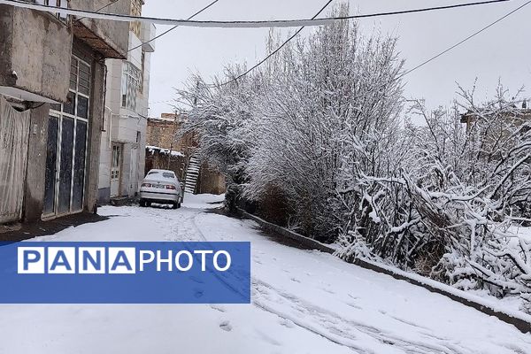 آسمان سخاوتمندانه نعمتش را در ماه شعبان به زمین شهر بار هدیه کرد