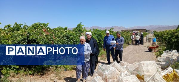 بازدید امام جمعه و رییس اداره کمیته امداد شهرستان خلیل‌آباد از کشاورزان 