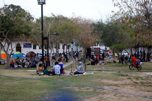 روز طبیعت در بوشهر