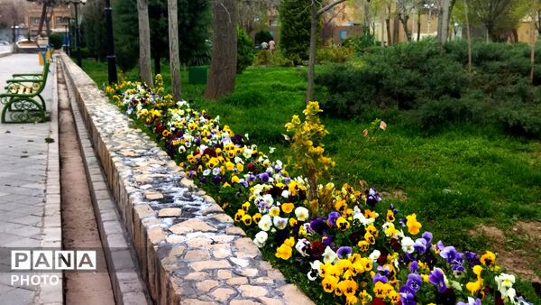 حال و هوای سال نو در پارک امین اسلامی نیشابور 