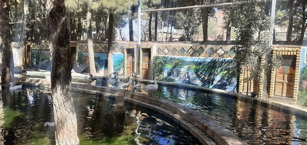 باغ پرندگان تربت حیدریه، تجربه‌ای منحصربه‌فرد در شرق کشور