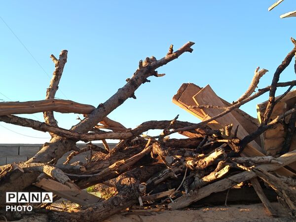 دیار برزنون،کوچه هایی آکنده از عطر بهار
