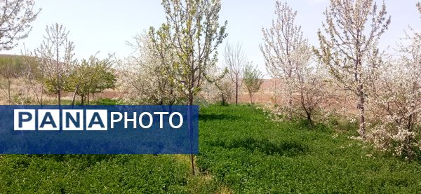 طبیعت بی نظیر روستا سربالا بهترین گزینه برای طبیعتگردی در فصل بهار