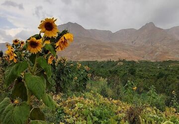 بارش غیر منتظره باران تابستانی در شهربار نیشابور