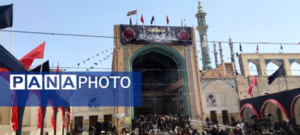 دل‌های جامانده، گرد حرم سلطان علی(ع) در مشهد اردهال به شور افتادند