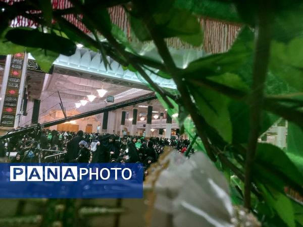 همایش شیرخوارگان حسینی(ع) در قم - 2