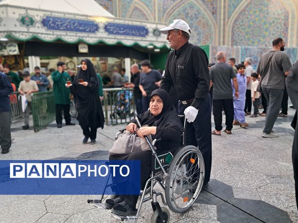 کبوتر حرم مشهد مقدس