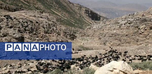  سرزمین عشق در دل سختی‌ها